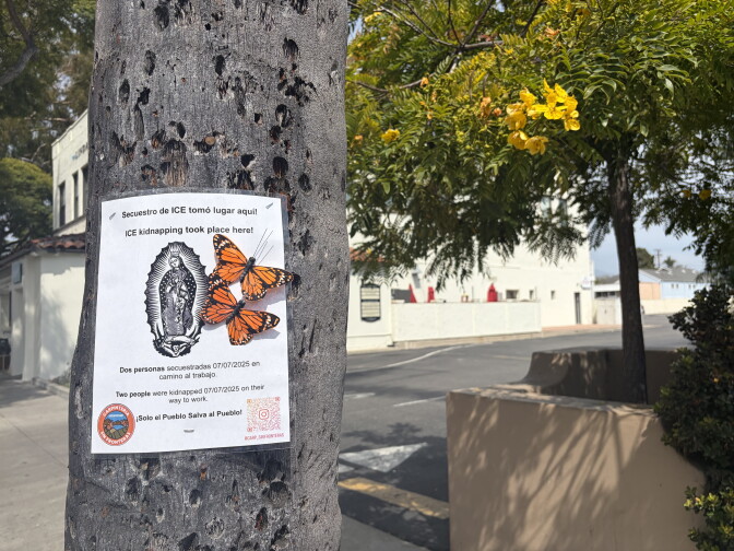 A paper poster is pinned to a tree. Two colorful butterflies are printed on the page. The signs mark where community members have been detained since the Trump administration's mass deportation effort began last summer.
