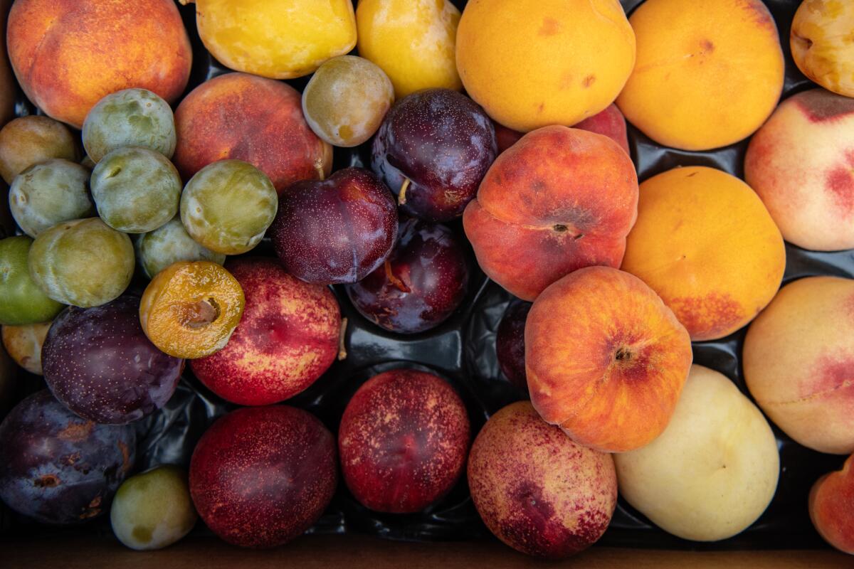 Greengage plums from Andy's Orchard and other stone fruit.