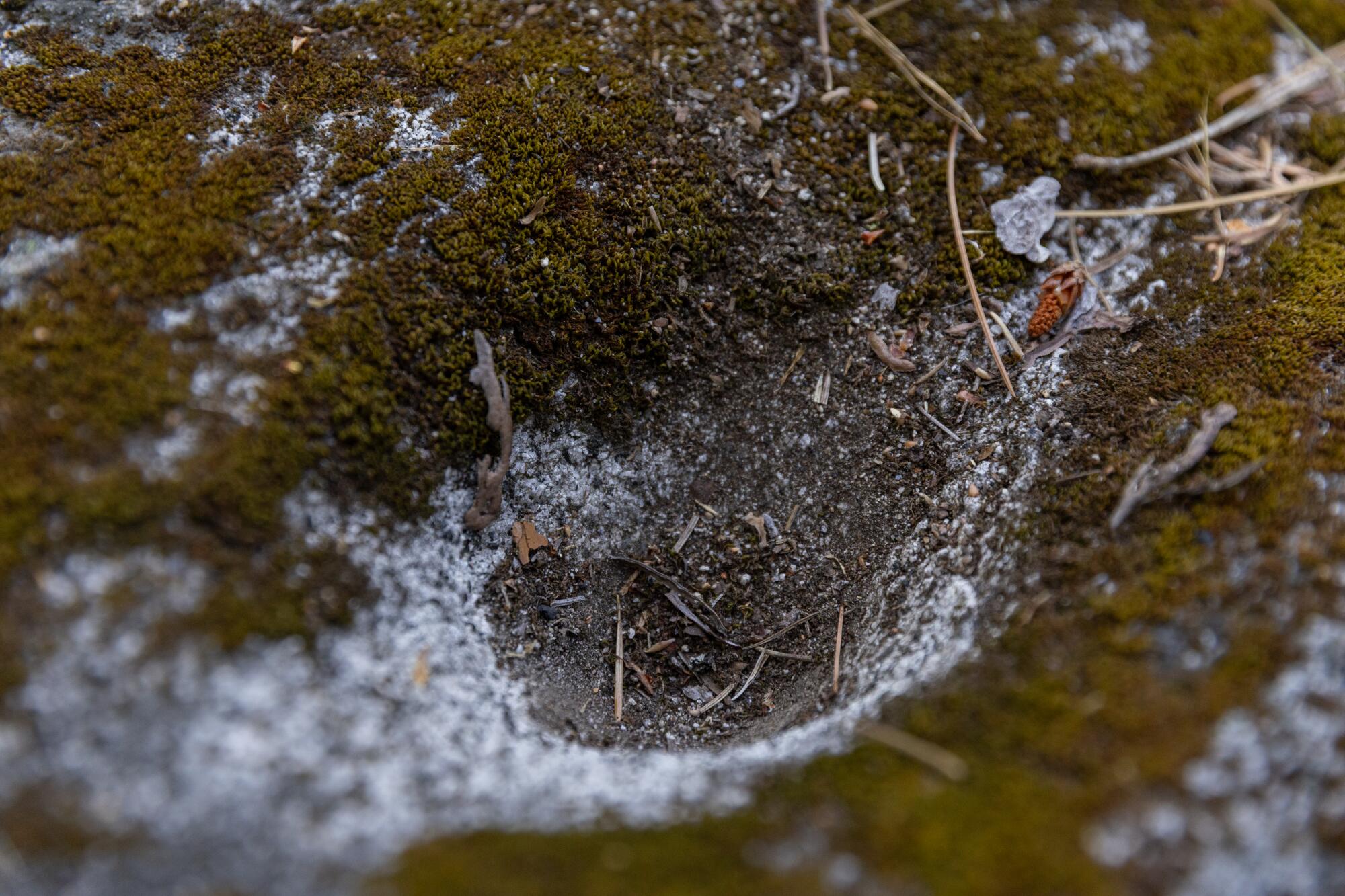 A milling station found by the Konkow Valley Band of Maidu in their tribal homelands.