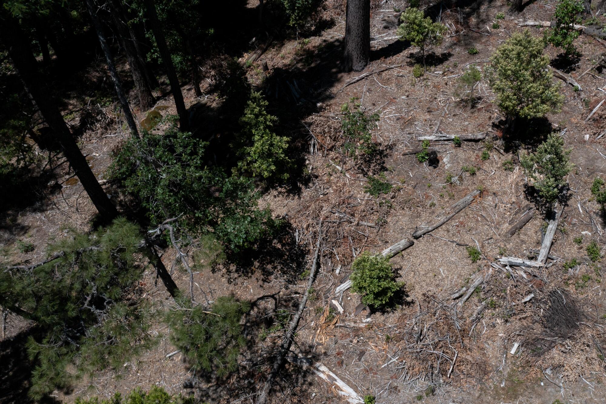 Aerial view of Plumas National Forest