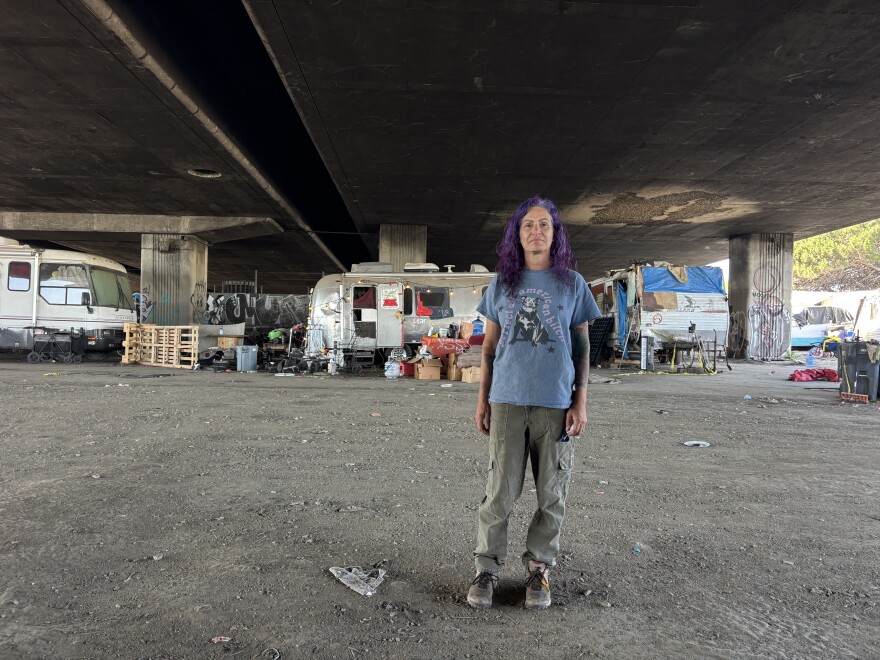 Meg McAdam and her team of volunteers provide medical support to pets in about 15 Oakland homeless encampments each week.