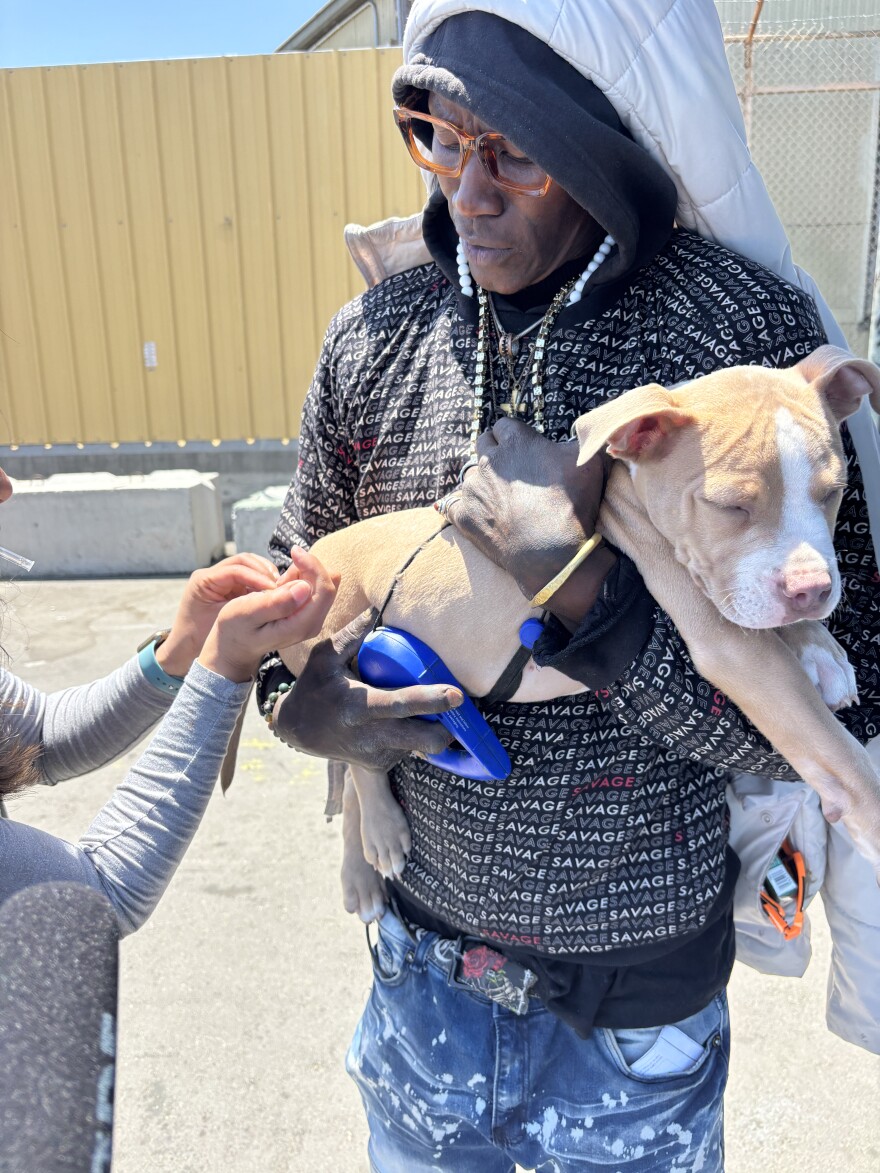Hawaii holds Shaka while volunteer and vet tech Jocelyn Saenz-Sanchez gives him a vaccine for Parvovirus.