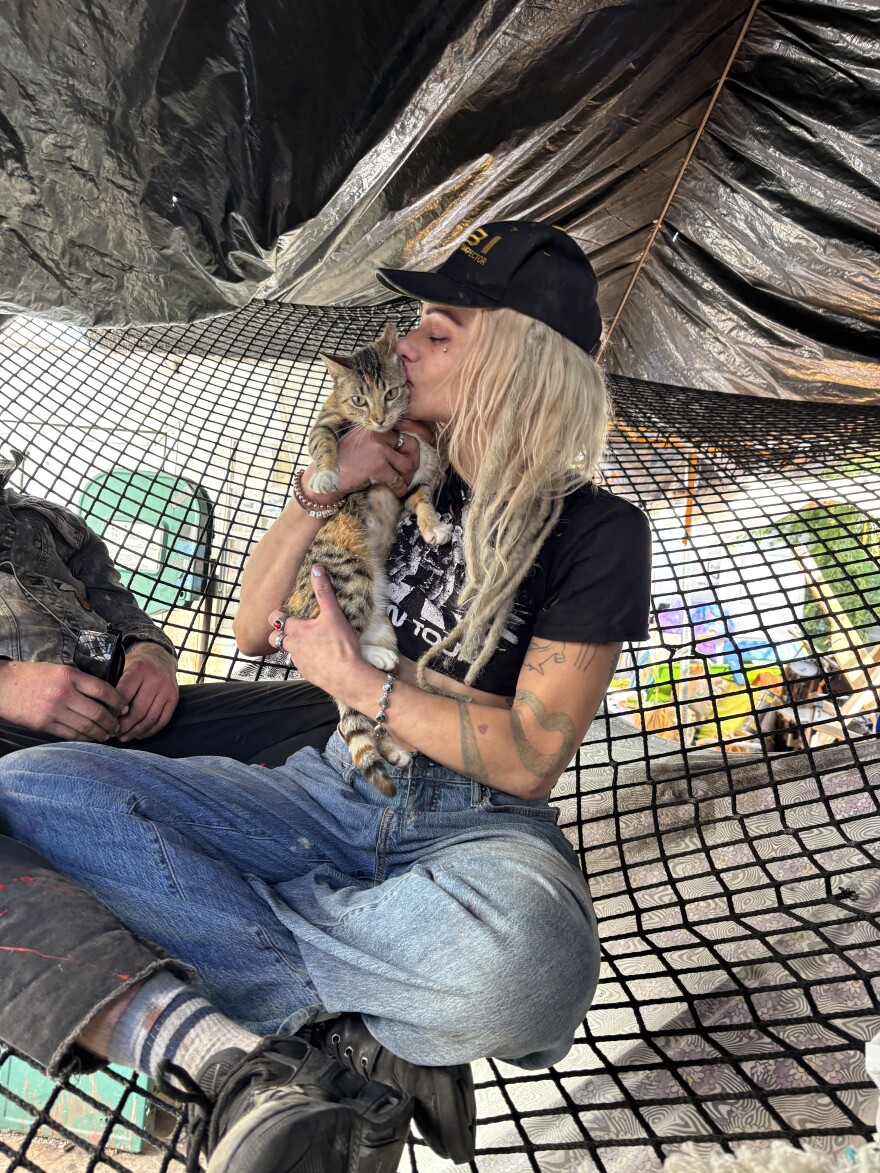 The netted jungle gym that hangs across the top of this encampment is intended for cats and people to play in alike.