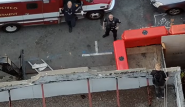 Man who allegedly tortured, killed kitten arrested after fleeing from SF police onto hotel roof