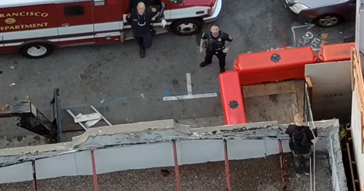 Man who allegedly tortured, killed kitten arrested after fleeing from SF police onto hotel roof