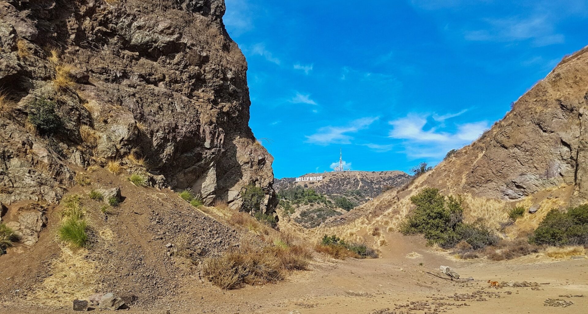 Classical music comes to a Griffith Park canyon with In a Landscape