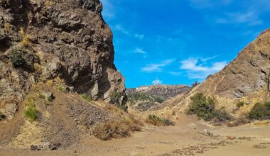 Classical music comes to a Griffith Park canyon with In a Landscape