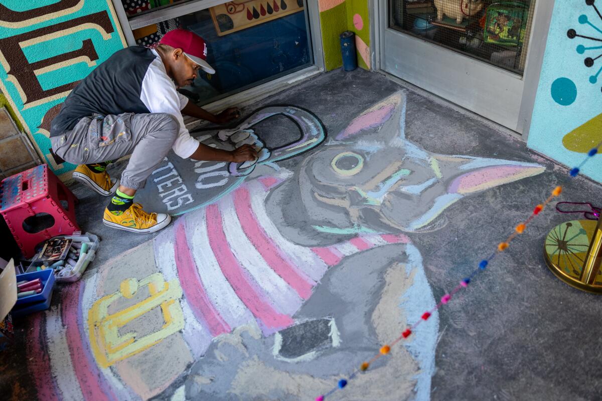 A man wearing a black and white shirt and grey pants works on a mural featuring a weightlifting grey cat in a pink singlet.
