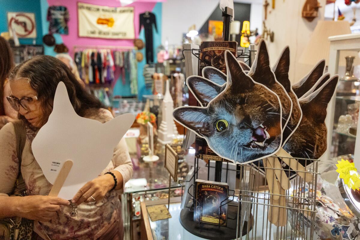 A customer wearing a beige shirt and brown rimmed glasses holds a fan depicting a one-eyed gray cat with his mouth open.