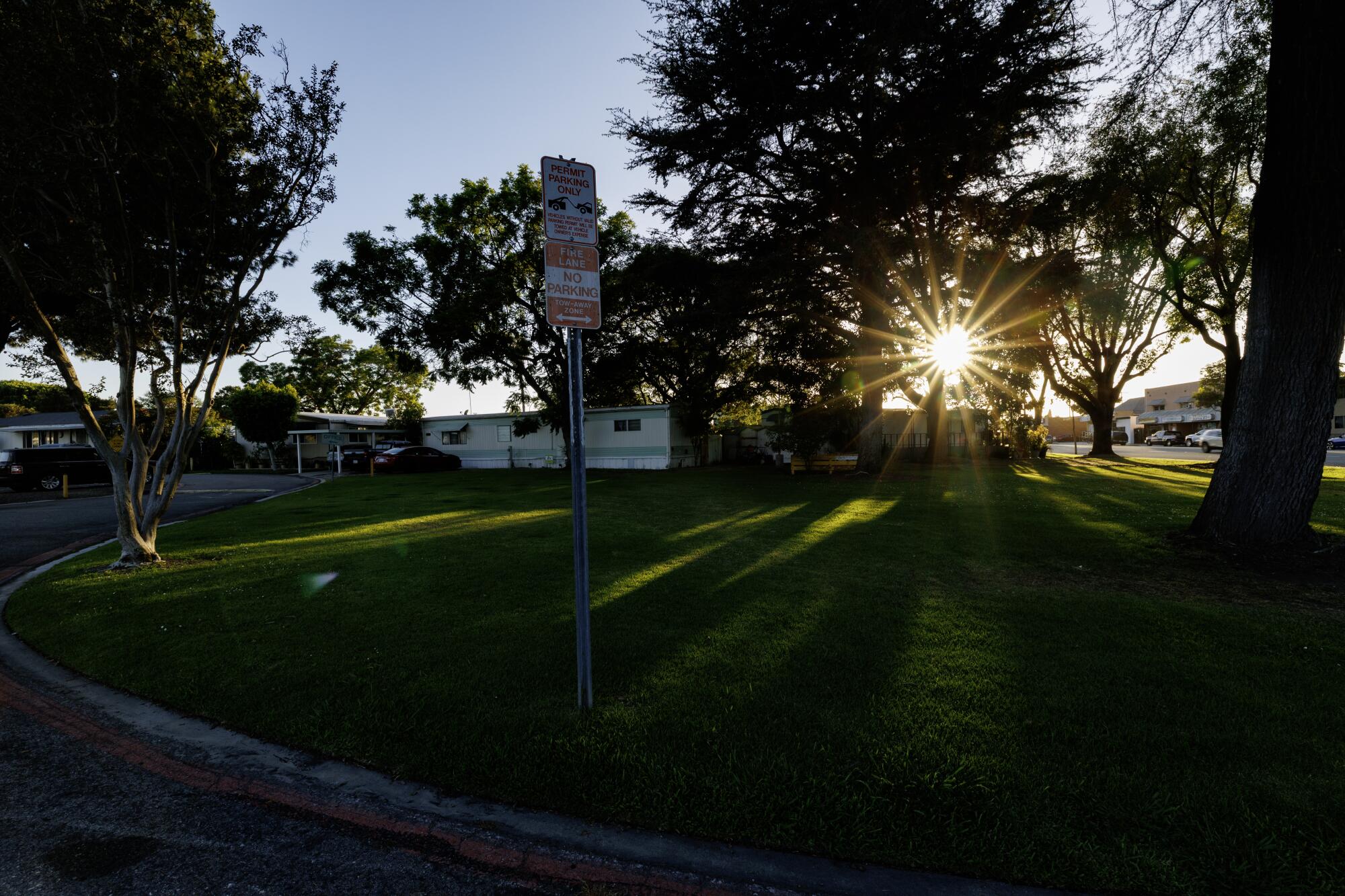 The sun sparkles through the trees at Bell Mobile Home Park