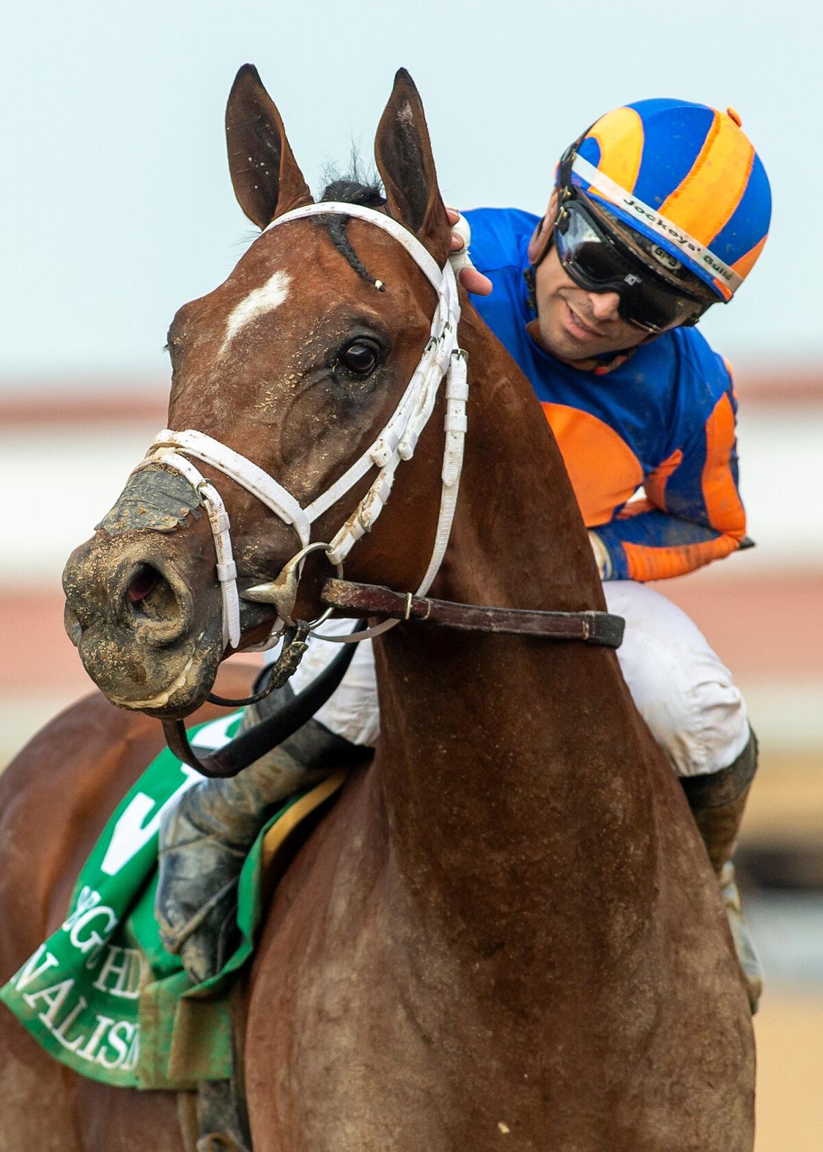 Jockey Umberto Rispoli looks down at Journalism after riding the colt to victory in the San Diego Handicap on Saturday.