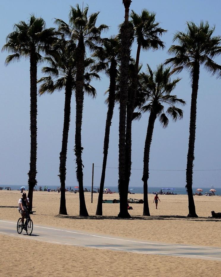 Santa Monica © DR