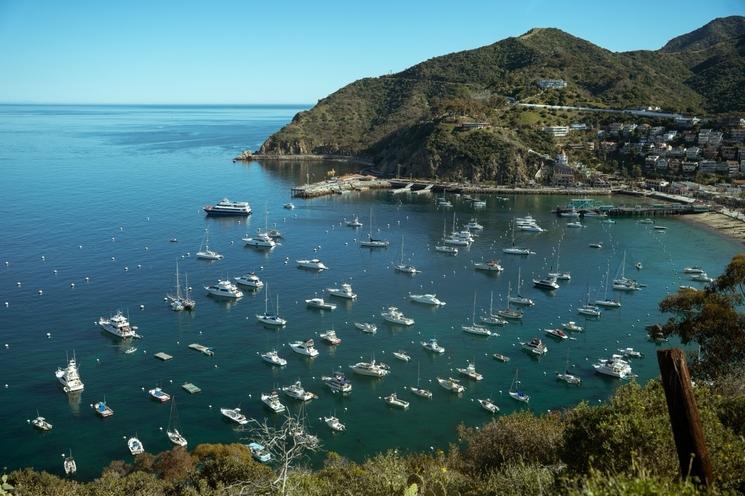 Catalina © DR