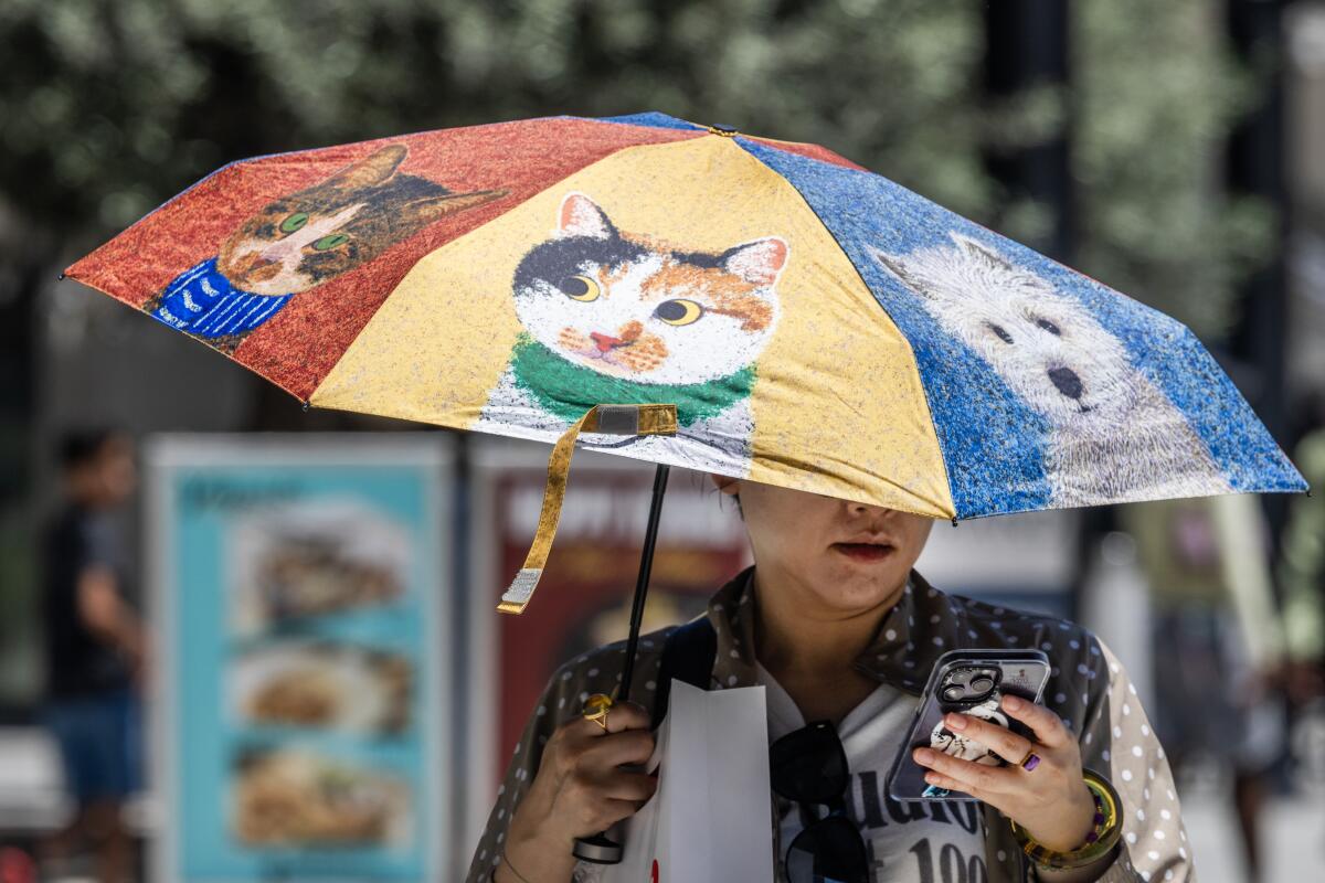 A person walks under a colorful umbrella.