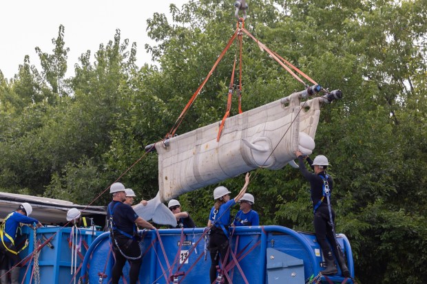 A beluga whale is transferred in a heavy-duty sling from a Marineland pool to a water-filled transport container. (Courtesy of Shedd Aquarium)