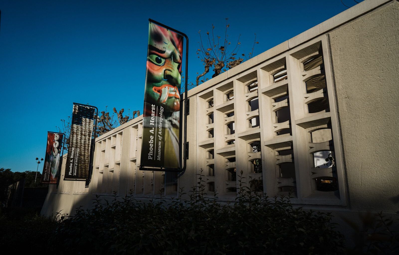 The Wire: UC Berkeley repatriating 36 lots of Indigenous remains