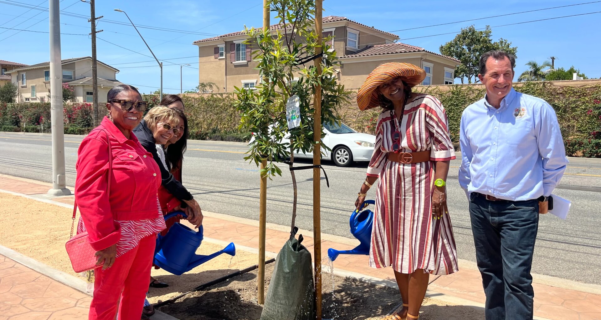 Improvements made to Normandie Avenue median in West Carson – Press Telegram