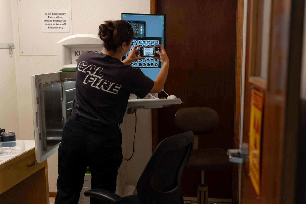 A woman uses her phone to take a picture of a screen showing seed x-rays.