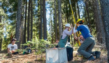 POLITICO’s California Playbook | CA’s Reforestation Struggle | Sacramento Century Challenge