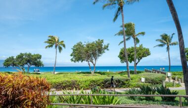 Luxury resort melee leaves family demanding answers over alleged hate attack
