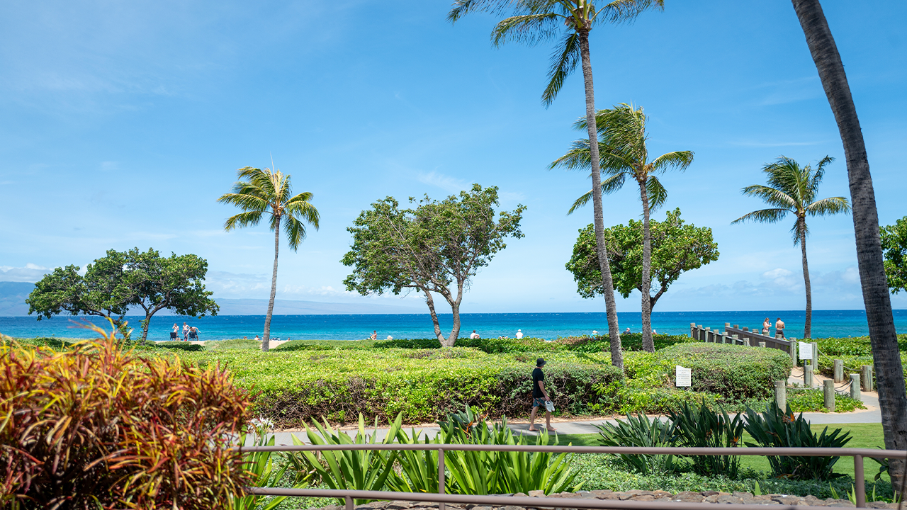 Luxury resort melee leaves family demanding answers over alleged hate attack