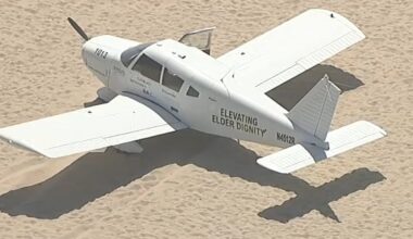Panic on packed California beach as plane loses engine and crash-lands among crowds