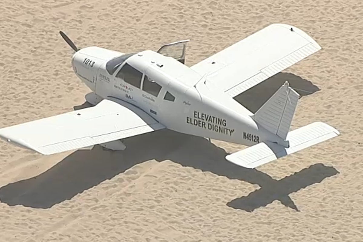 Panic on packed California beach as plane loses engine and crash-lands among crowds
