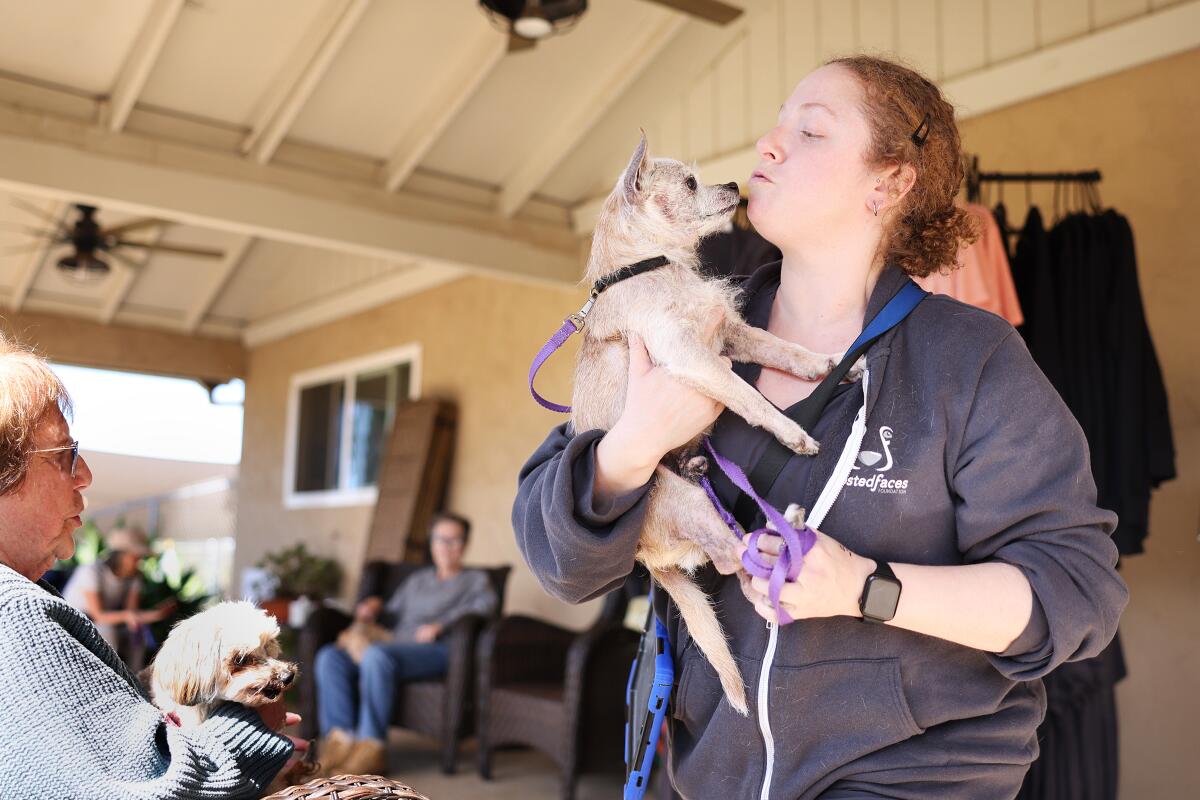 Registered vet technician Maira Vierheller, right, picks up Chewy for an appointment in the clinic.