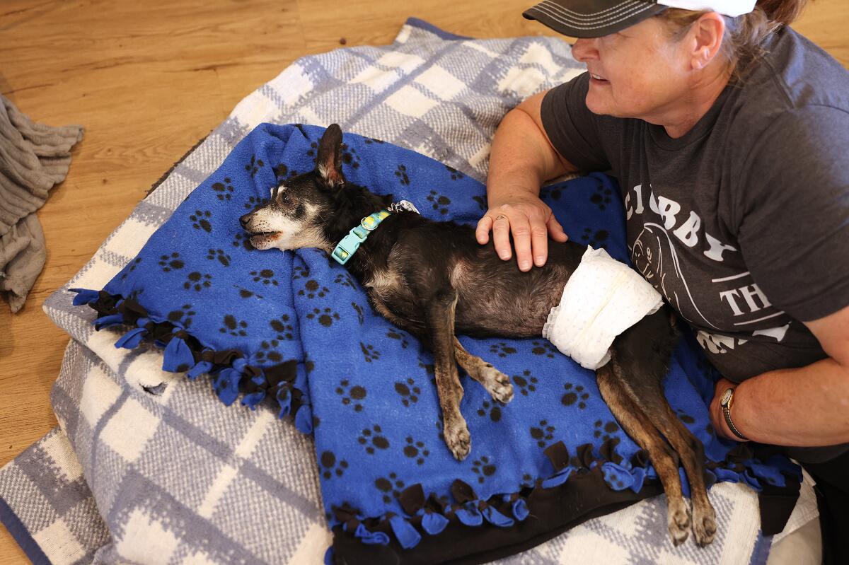 Volunteer Mary Arkwright lays with one of the seniors at Frosted Faces Foundation in Ramona.