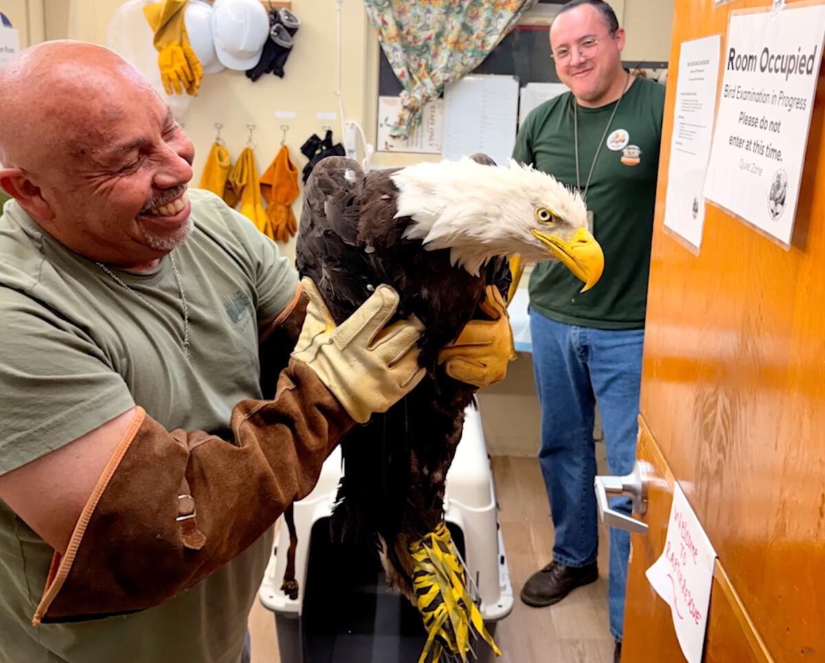 Jackie with L.A. County Parks' San Dimas Raptor Rescue Team.
