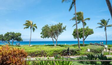 California family members claim they were attacked at luxury Maui resort during violent melee