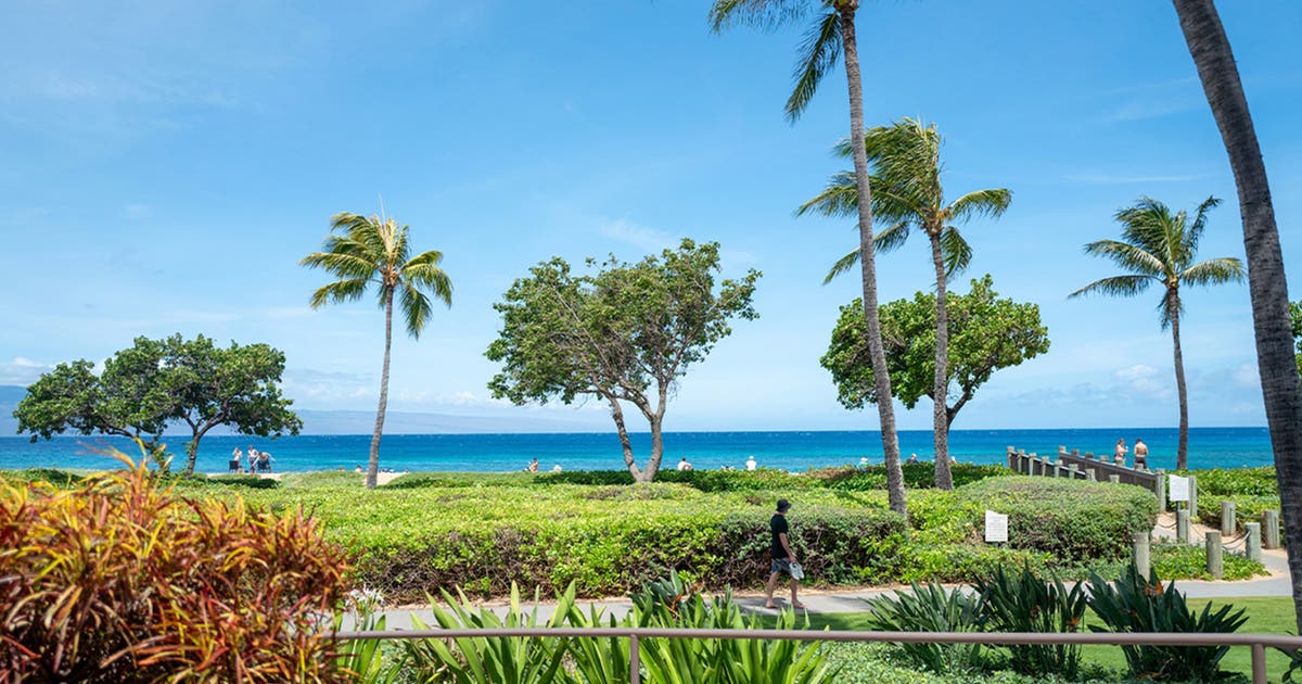 California family members claim they were attacked at luxury Maui resort during violent melee