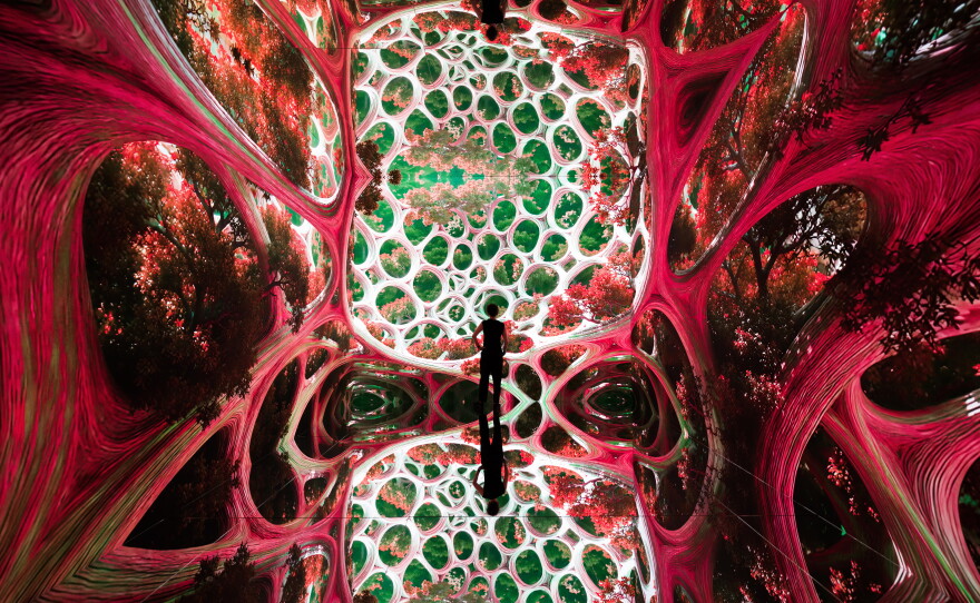 Artist renderings of Machine Dreams: Rainforest, Dataland's inaugural exhibition, on display through Jan. 2027.