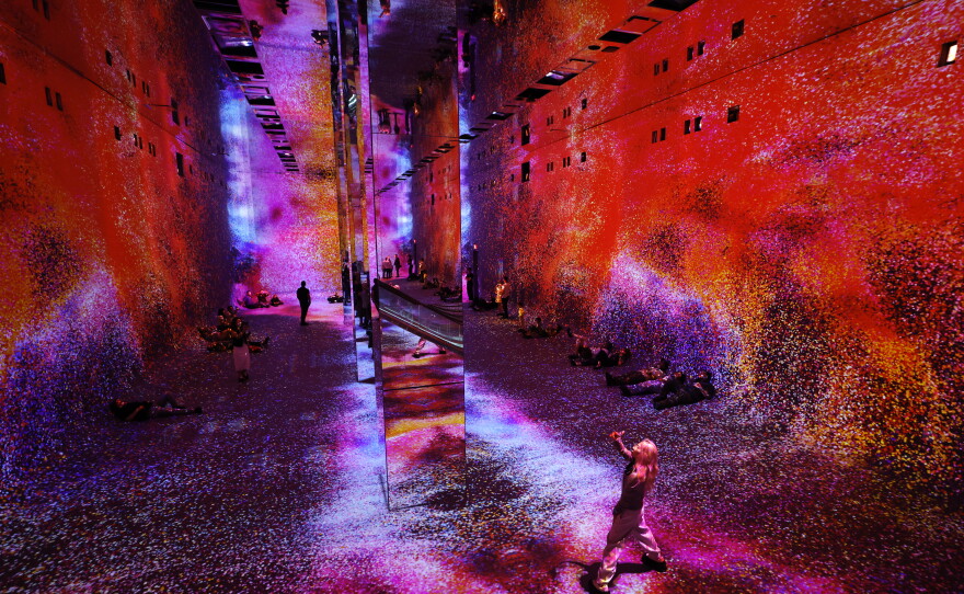 Visitors experience Dataland on its opening day in June.