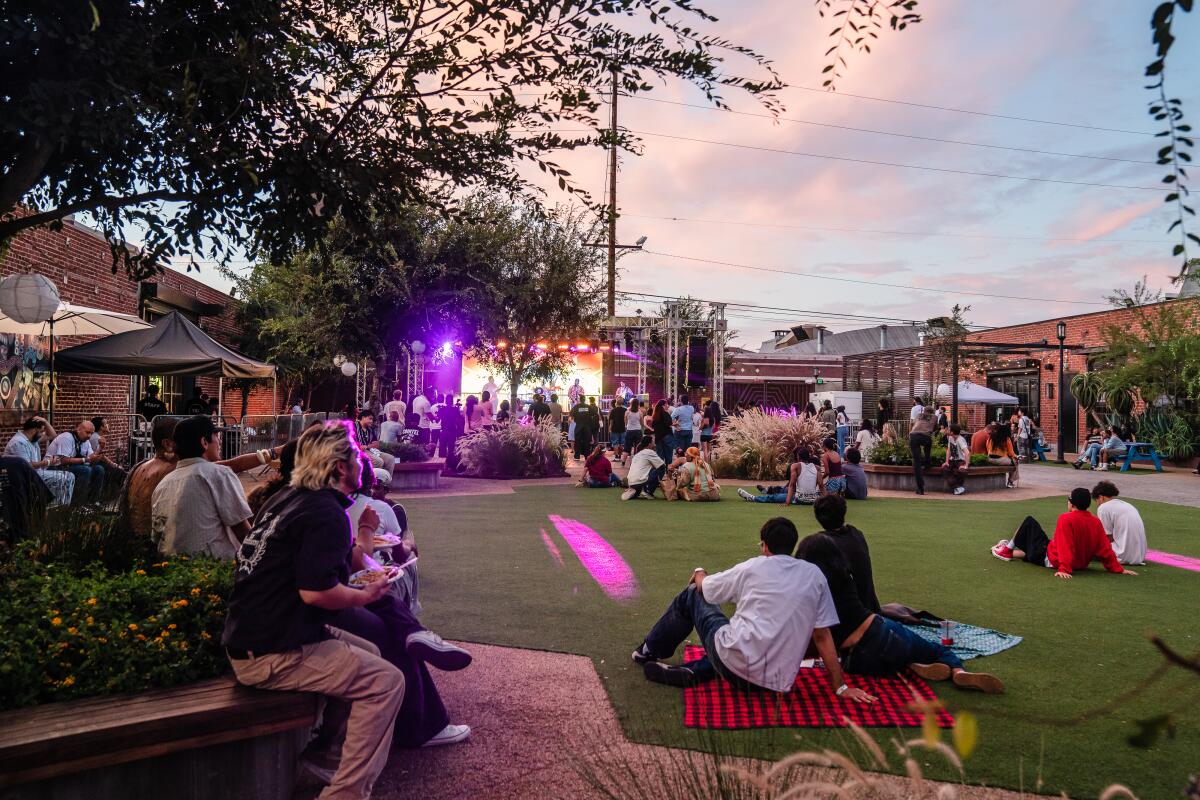 Crowd at the Beehive Block Party in South Los Angeles.