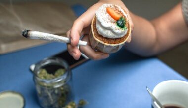 San Francisco votes yes on Amsterdam-style cannabis cafés as health experts worry
