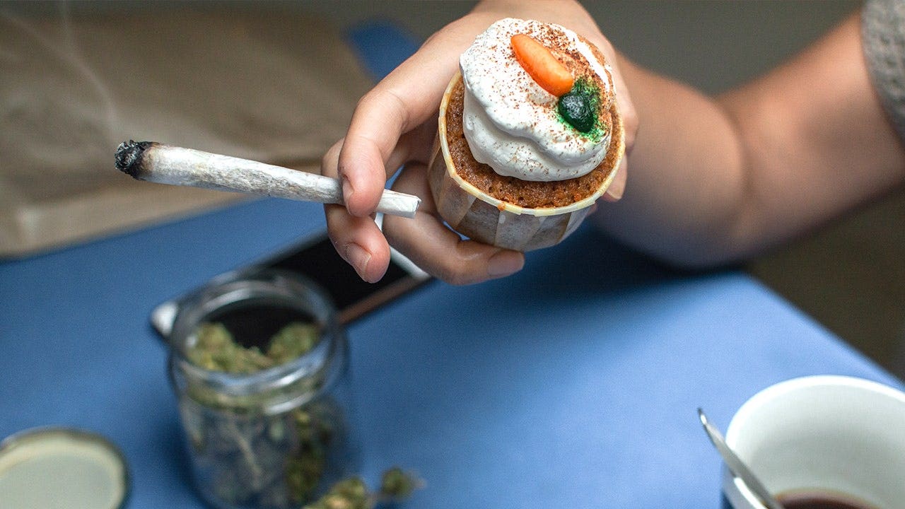 San Francisco votes yes on Amsterdam-style cannabis cafés as health experts worry