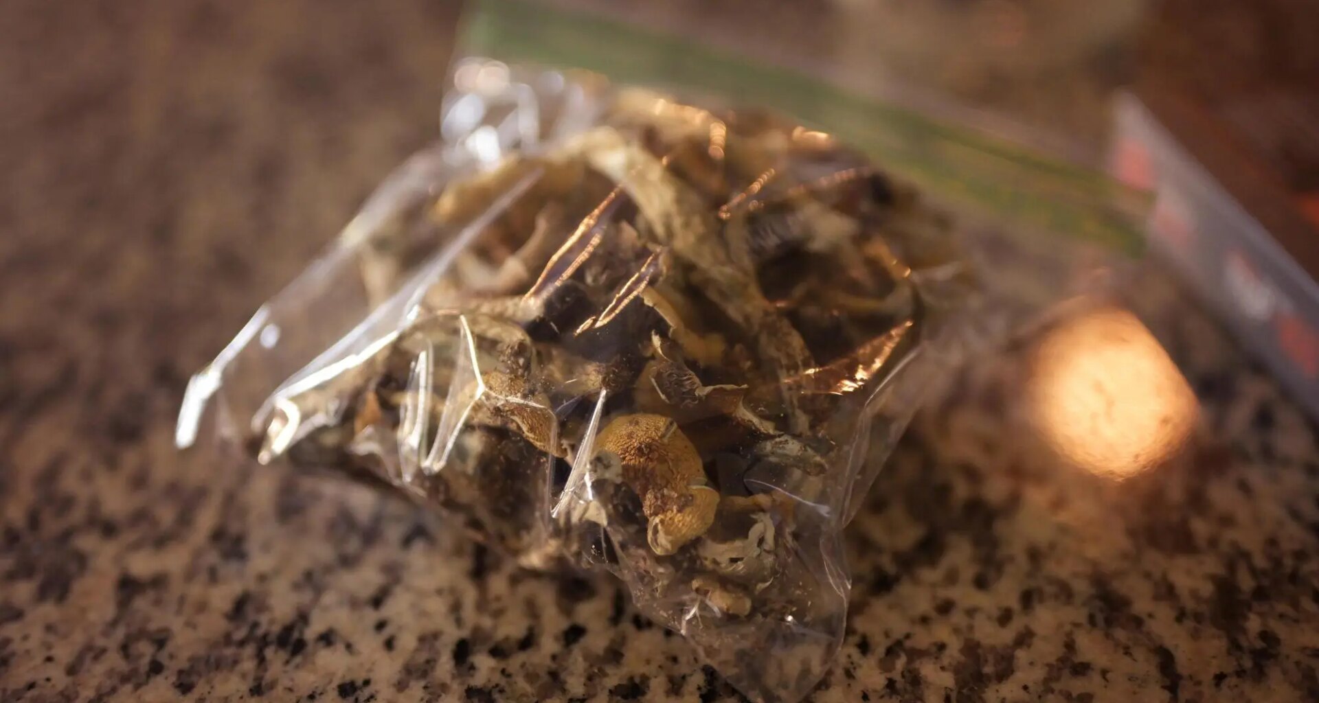 Oakland dad charged after 5-year-old ate chocolate loaded with psilocybin mushrooms