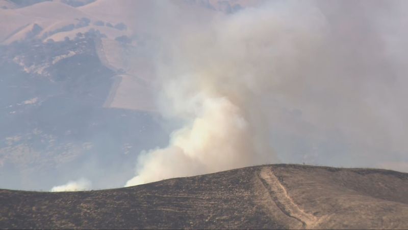 California bill would speed removal of dead trees, brush in high-risk wildfire areas (PHOTO: KBAK/KBFX