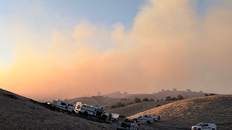 California bill would speed removal of dead trees, brush in high-risk wildfire areas (PHOTO: KCFD)