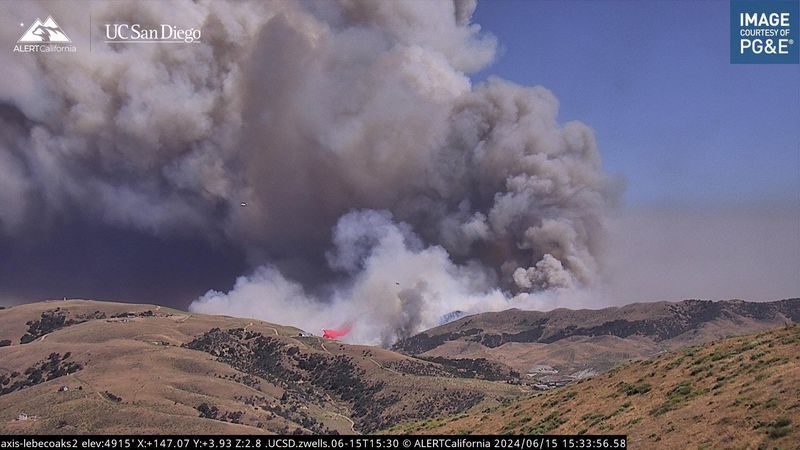 California bill would speed removal of dead trees, brush in high-risk wildfire areas Credit: ALERTCalifornia | UC San DiegoPost Fire Los Angeles County 6/15/24