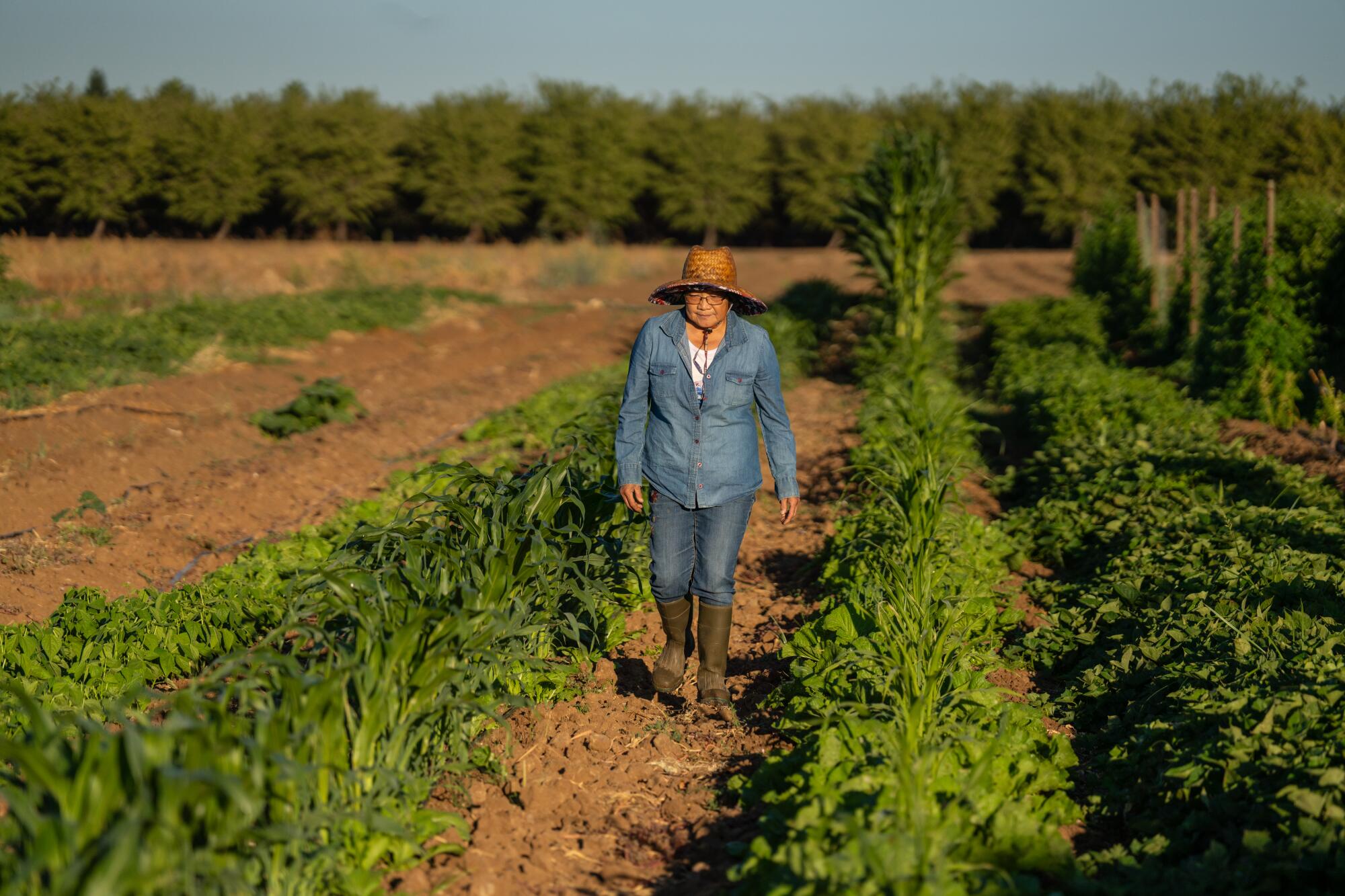 A woman walks on farmland.