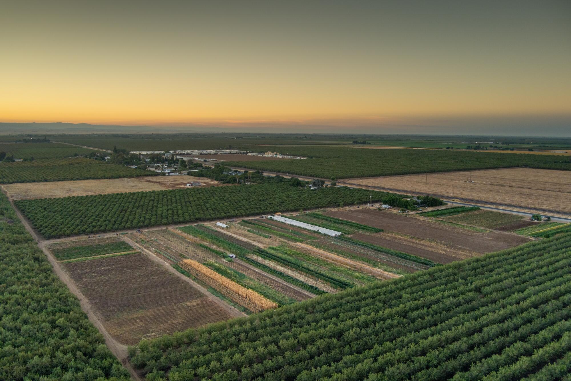 An aerial view of Rosie Lee's 19-acre farm at sunrise in Merced County.