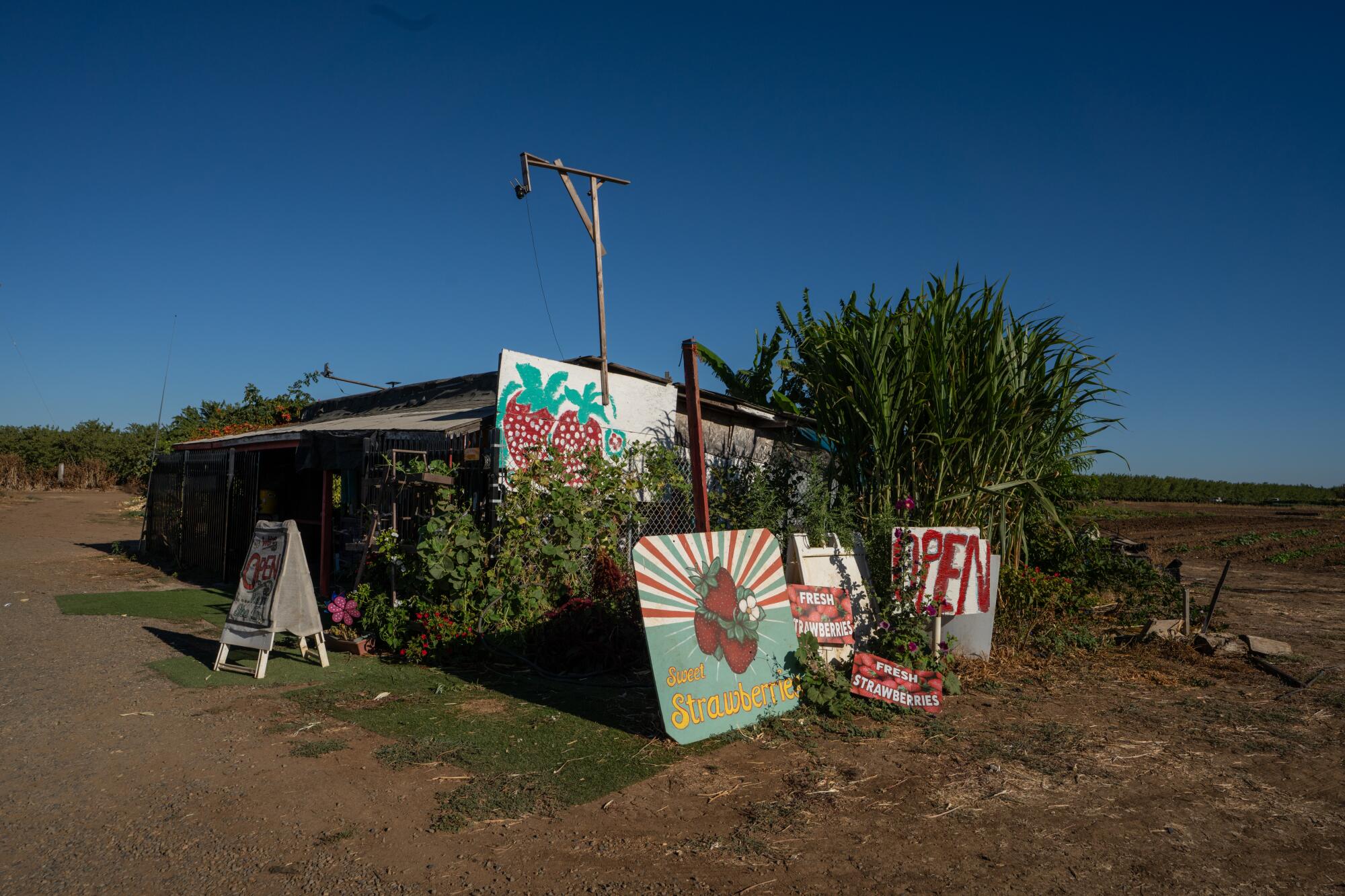 A farm stand.