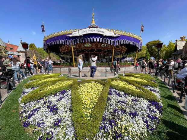 Flowers bloom around the Sword in the Stone in front of King Arthur Carrousel at Disneyland in Anaheim, CA, on Wednesday, March 16, 2022. (Photo by Jeff Gritchen, Orange County Register/SCNG)