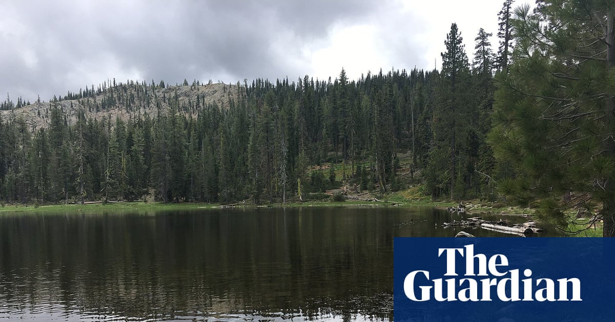 Kidnapped US Forest Service employees released after more than 12 hours, say authorities | California