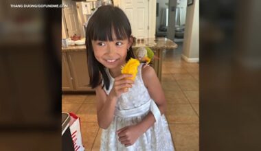 Buena Park man charged with involuntary manslaughter in fireworks explosion that killed 8-year-old girl Jasmine Nguyen