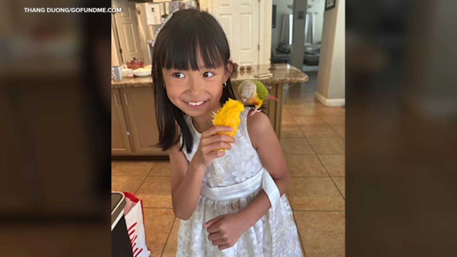 Buena Park man charged with involuntary manslaughter in fireworks explosion that killed 8-year-old girl Jasmine Nguyen