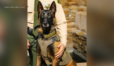 Fresno County Sheriff's Office K-9 killed in hit-and-run after running from illegal fireworks