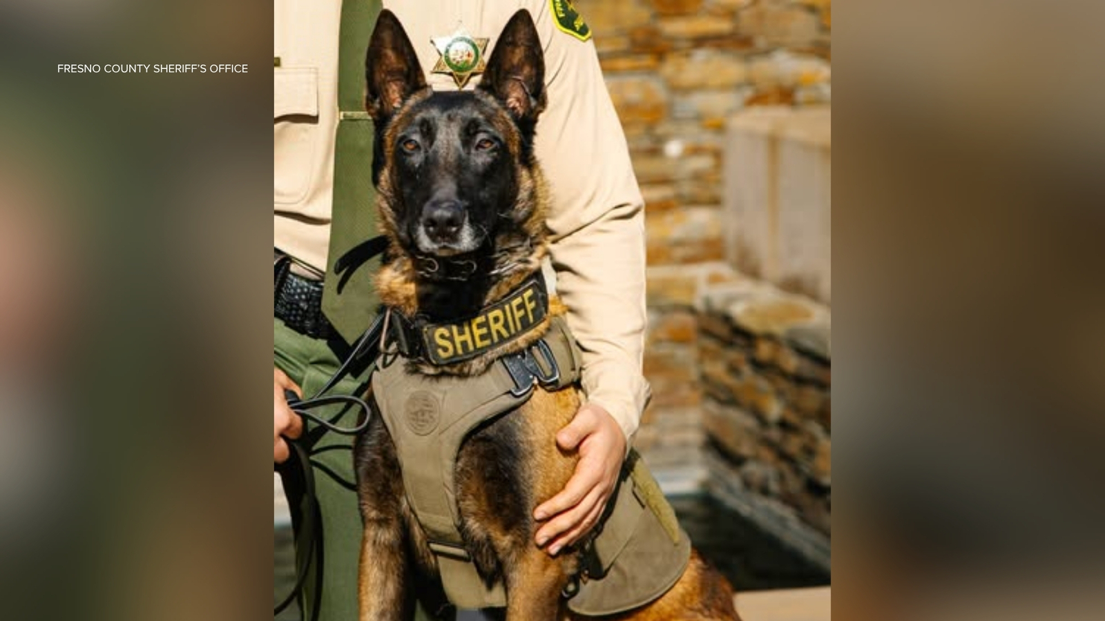 Fresno County Sheriff's Office K-9 killed in hit-and-run after running from illegal fireworks